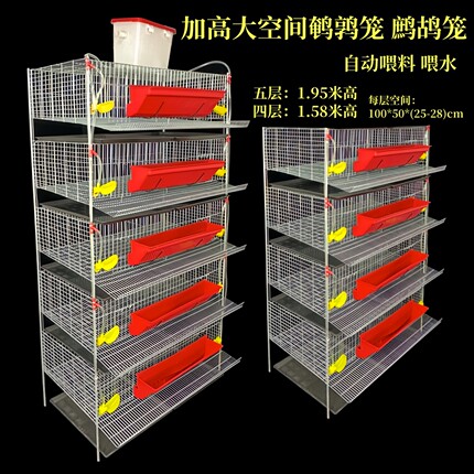 鹌鹑笼鹧鸪笼加高25cm层高大空间鸟笼立式可自动清粪鹌鹑产蛋笼子