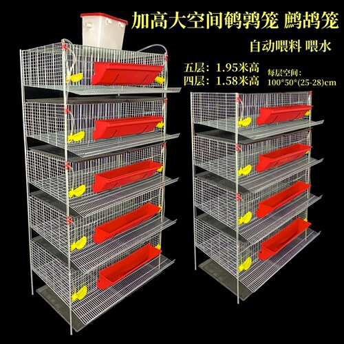 多层自动清粪鹧鸪鹌鹑笼志昂