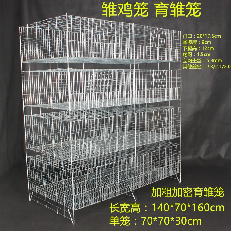 志昂优质小鸡笼雏鸡育雏笼蛋鸡育雏笼1.4米长雏鸡小