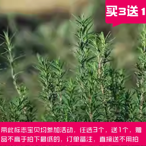 迭迭香纯露熙家优作收毛孔痘肌