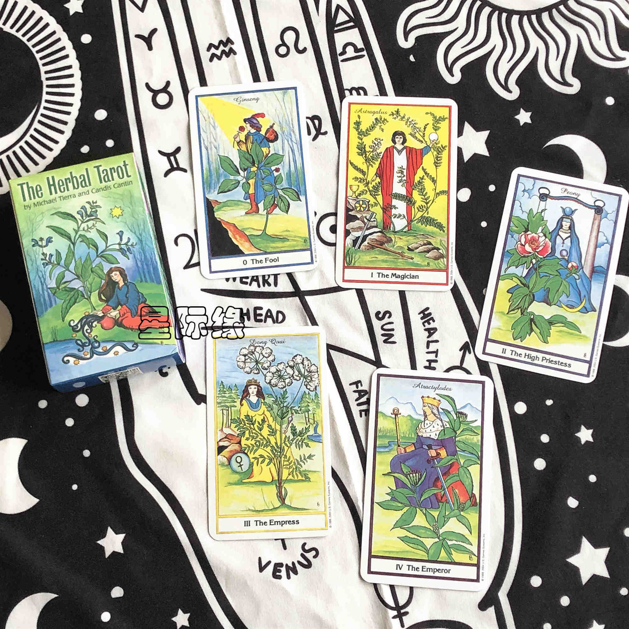 包邮 the herbal tarot 草药塔罗牌 英文桌游纸卡牌 送翻译