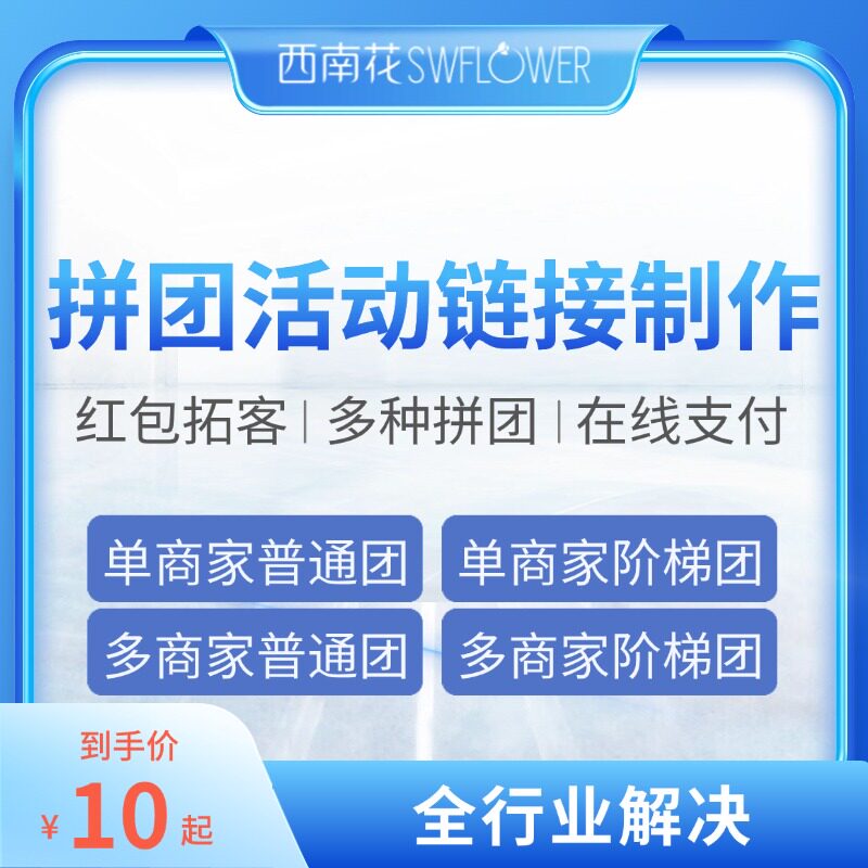 西南花1+N裂变拼团|裂变链接企业形象VI设计