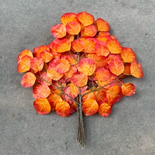 仿真黄栌树叶橙黄色塑胶黄芦枝叶子漆树科舞台布景秋天树人造叶