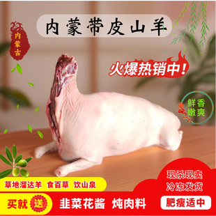 带皮山羊绵羊内蒙草原散养羔羊新鲜现杀产地发货烤全羊带皮羊腿排