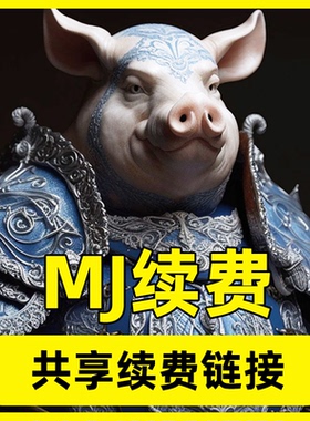 Midjourney正品MJ官方高级会员账号共享充值代充续费新手保姆指导