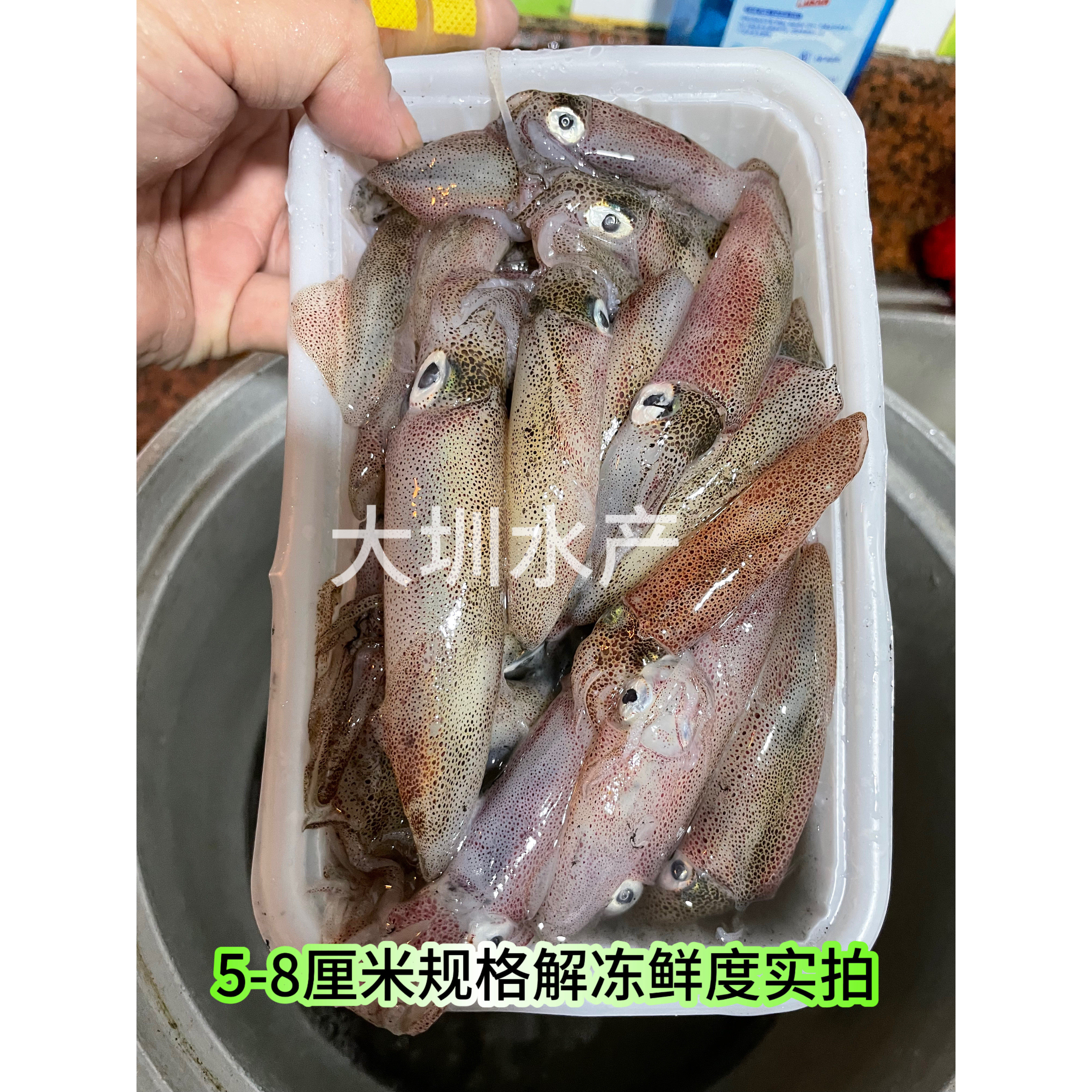 鱿鱼东山小管笔管鱿鱼鲜活冷冻灯光网捕小管一口管海兔 400g/盒