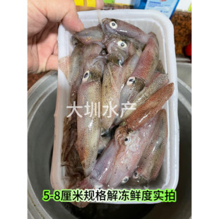 鱿鱼东山小管笔管鱿鱼鲜活冷冻灯光网捕小管一口管海兔 400g/盒
