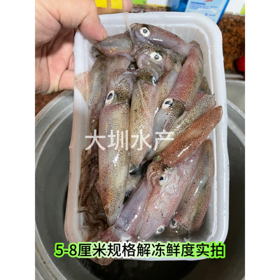 灯光网捕小管一口管海兔400g/盒