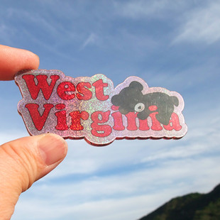 美国当地购买冰箱贴 各大城市 各州 WEST VIRGINIA 南达科他州
