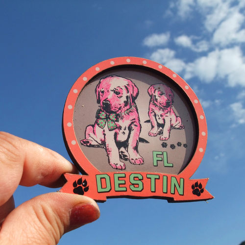 美国当地购买冰箱贴 佛罗里达 DESTIN