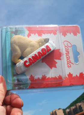 加拿大当地购买冰箱贴 CANADA 北极熊 多款