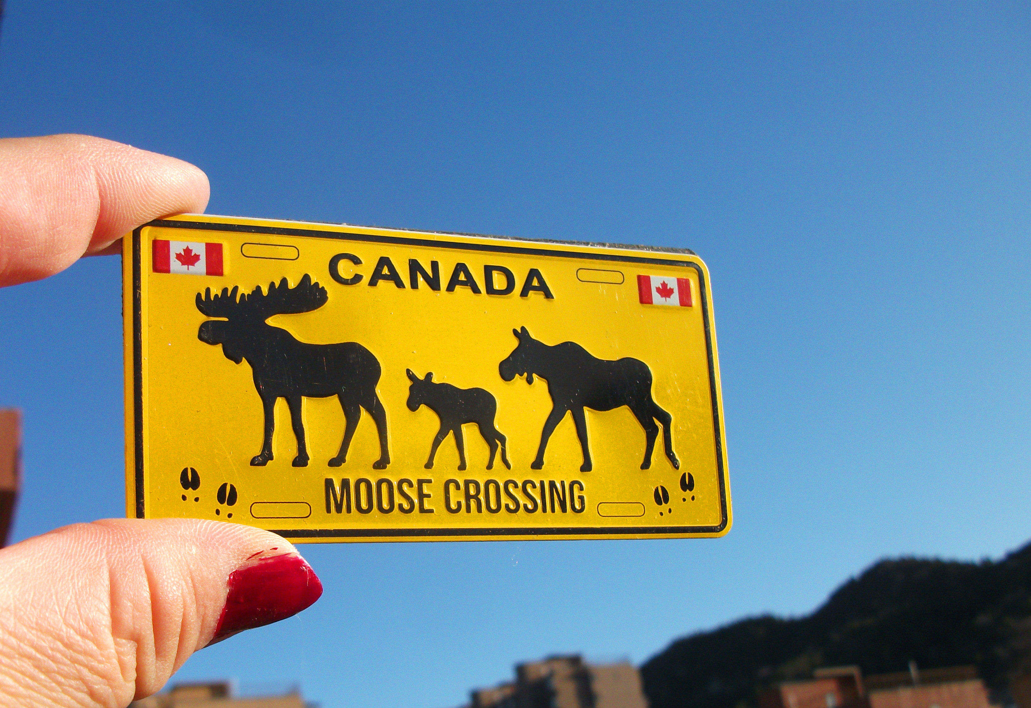 加拿大当地购买冰箱贴 车牌形 CANADA MOOSE一家出行 驯鹿 小熊多