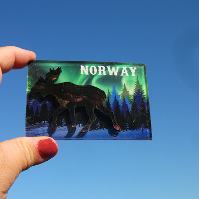 挪威当地购买冰箱贴 NORWAY 多款 林中的麋鹿