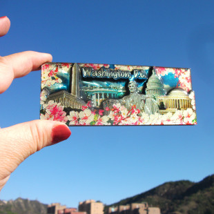 美国当地购买冰箱贴 华盛顿 WASHINGTON DC 樱花 国会山 多款