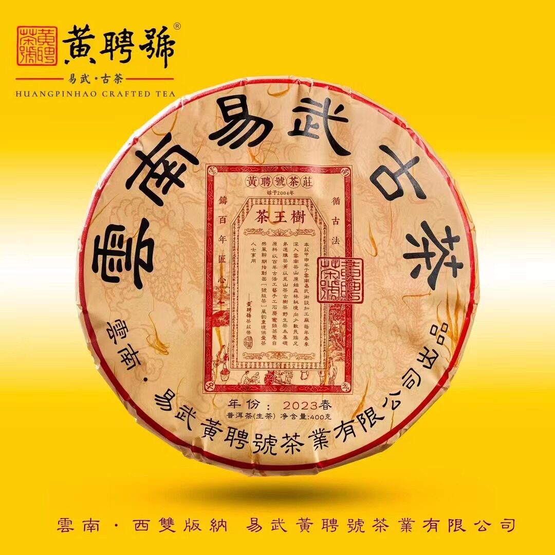 黄聘号 2023年刮风寨茶王树