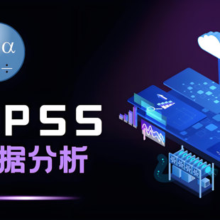 spss amos smartpls mplus Eviews R语言数据分析分析显著性代做