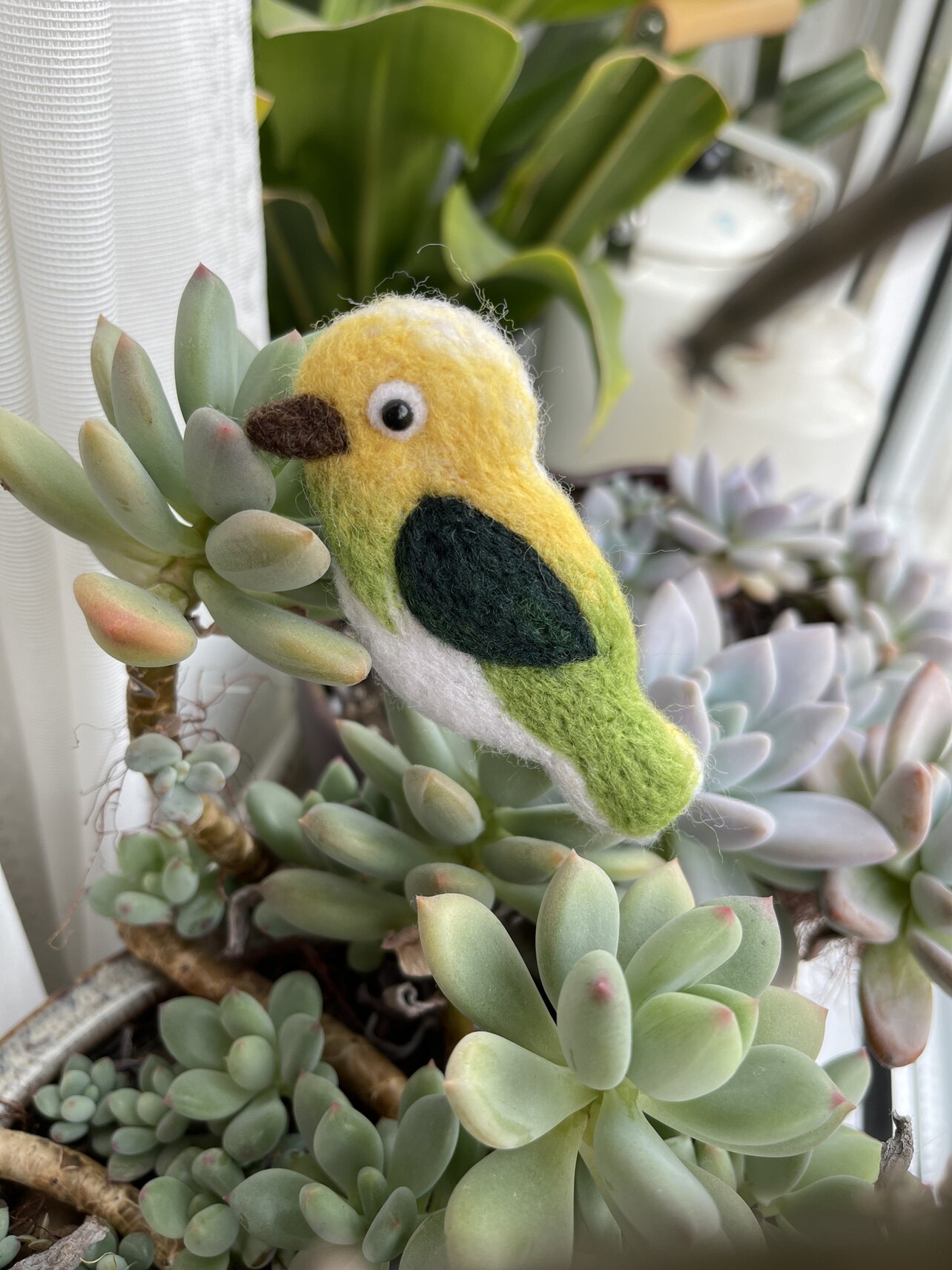 花木畦blooms牡丹鹦鹉森林系羊毛毡小鸟胸针原创配饰羊毛毡成品