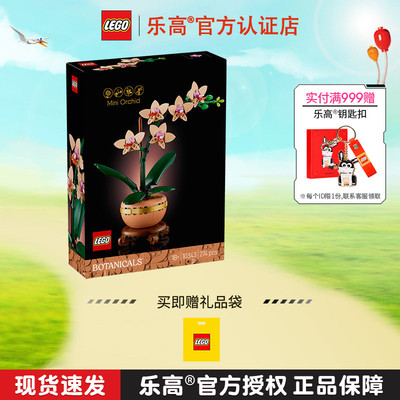 LEGO乐高花束系列10343典雅兰男孩女孩拼搭积木玩具桌面摆件礼物