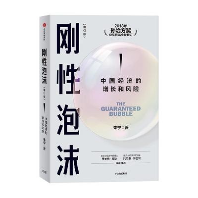 刚性泡沫（增订版）中国经济的增长和风险 2018年孙冶方奖获奖作品全新增订 读懂中国经济的过去与未来 朱宁  2024年新书