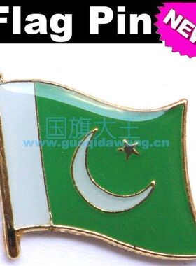 国旗巴基斯坦商务胸针徽章