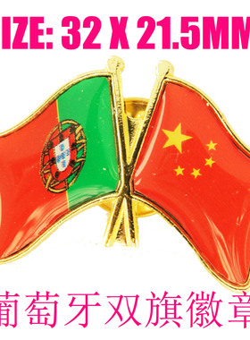 定做商务胸针交叉徽章
