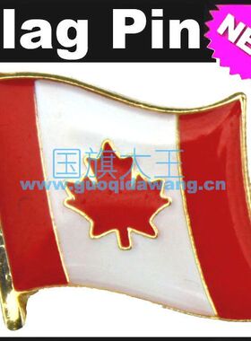 国旗加拿大商务胸针徽章