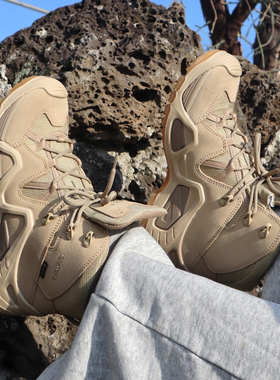 Lowa Zephyr GTX TF防滑耐磨防水中帮户外徒步男鞋战术靴徒步鞋