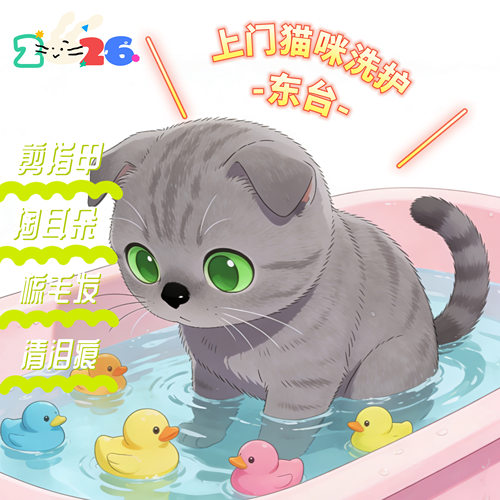 东台上门猫咪洗澡东台上门给猫洗澡东台上门洗猫东台上门宠物护理