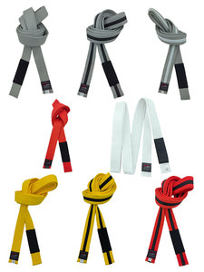 巴西柔术腰带BJJ青年儿童16岁以下等级系统Brazilian Jiu-Jitsu