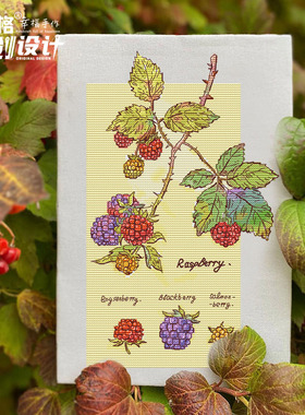 十格格十字绣DMC绣线套件 12月 littlejiang 原创设计 清新莓果