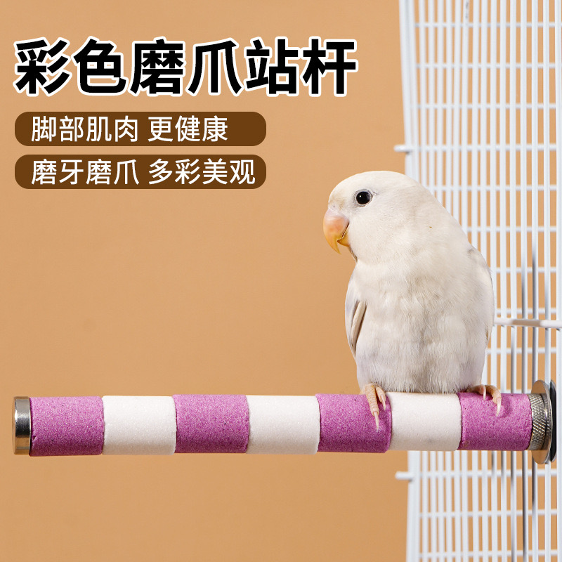 鹦鹉磨爪棒不锈刚陶瓷磨嘴石