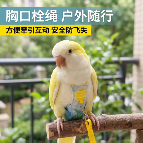 鹦鹉尿不湿立体款大容量按扣调节