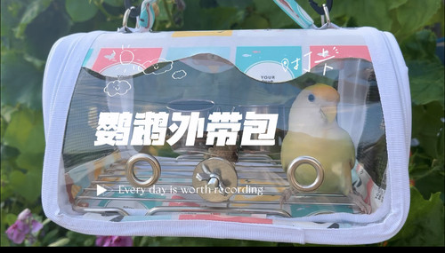 鹦鹉外带包外出遛鸟包轻便透气
