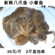 包邮 当日鲜货 新鲜短腿八爪鱼桃花蛸鲜活速冻小章鱼八带八蛸4斤