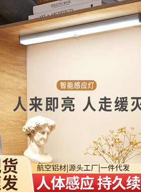 智能人体感应可调充电式小夜灯