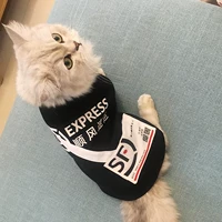 Shunfeng Pet Service (тонкая)