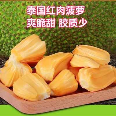 菠萝蜜树苗泰国12号红肉