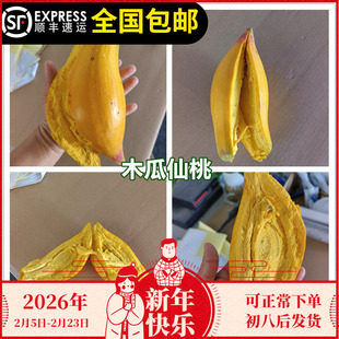 台湾耀堂仙桃苗木瓜仙桃果树四季结果蛋黄果升级板淘宝15年老店