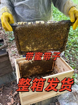 京东发货整箱发货开箱即养