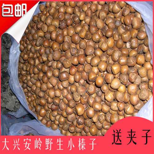 2025新货东北特产野生火无坏籽炒