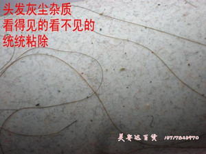销大号 粘毛纸 衣物除尘滚 可撕式粘毛器 滚筒粘 尘纸替换装 10卷