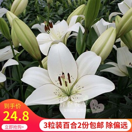 乔系列9796s238 时尚连衣裙品牌女装折扣有折有扣品牌折扣女装每日新款 找特价