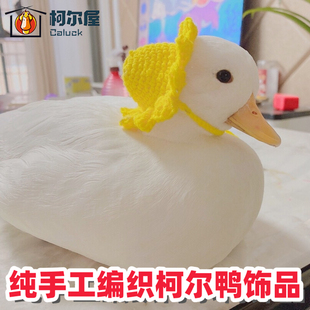 柯尔鸭饰品围脖蝴蝶结帽子科尔鸭鸡鹅挂包衣服项圈纯手工编织装饰