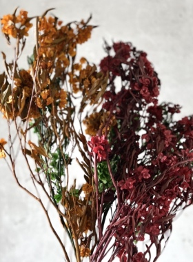迎客豆干花蝴蝶花永生花新年年宵花天然植物真花家居装饰插花拍摄