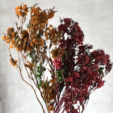 迎客豆干花蝴蝶花永生花新年年宵花天然植物真花家居装饰插花拍摄