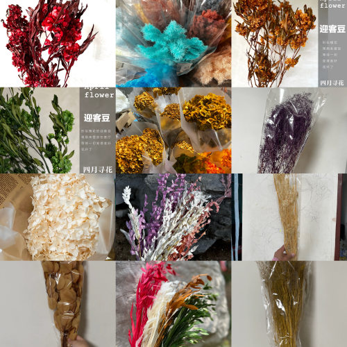 情人果刺芹柔软diy玻璃罩永生花