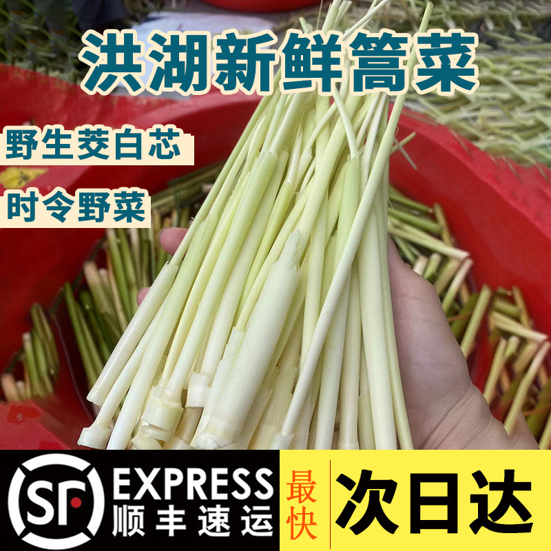 顺丰洪湖野生蒲菜新鲜篙菜浦儿高菜蒲笋茭白蒿草心时令蔬菜芯