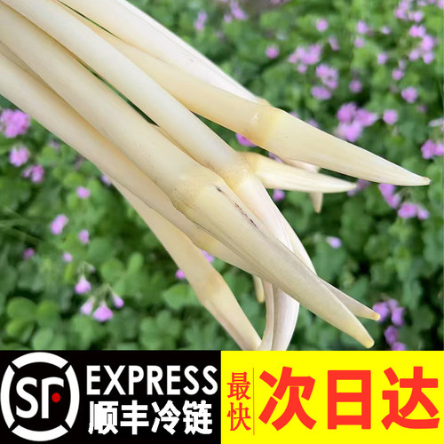 {顺丰冷链}洪湖鲜藕带产地直发