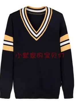 伊顿同款校服男女童毛衣春秋季中大童线衣打底衫V领针织衫09M103
