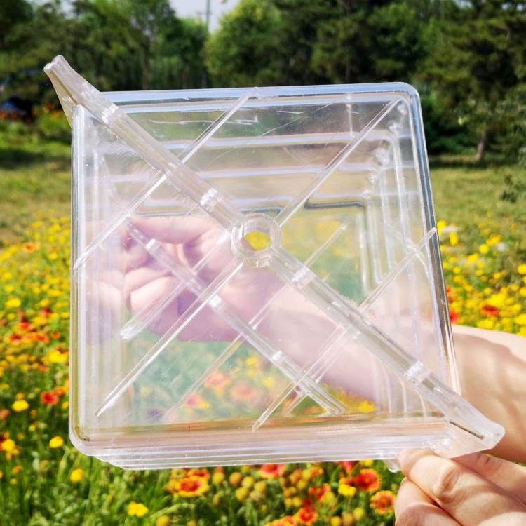 方形西瓜模具 心形西瓜模具水果定形生长模具元宝模具人参果模具,鲜花速递/花卉仿真/绿植园艺,花艺材料,淘宝优惠券,粉丝福利购,淘宝优惠卷